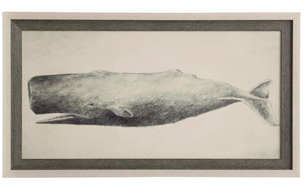 Classic Whale framed print